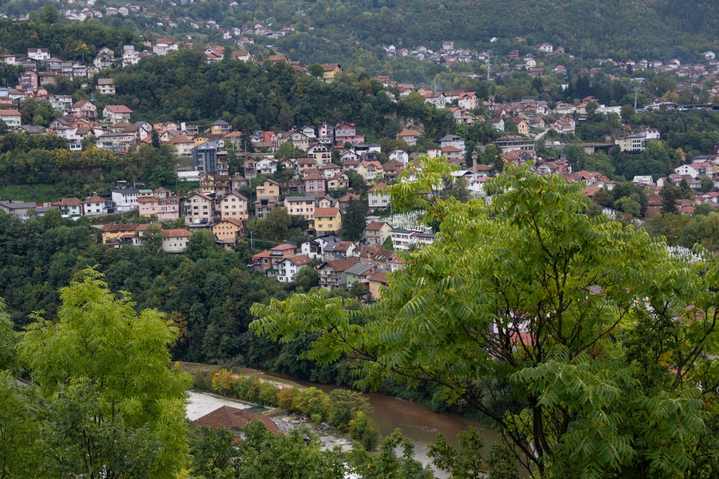 How WADA is Transforming Warren Avenue